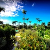 Blick durch unseren tropischen Garten