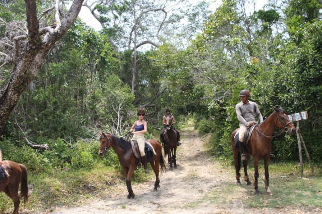 Für Reiter bieten wir Touren im Hochland und an der Ostküste an - Madagaskar - 