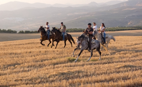Exklusive Pferde-Ranch in Andalusien