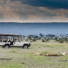 Unterwegs in der Masai Mara