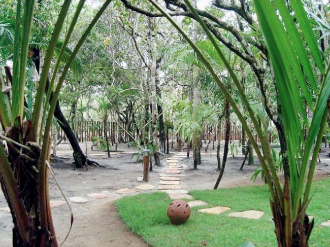 Tropischer Garten - Brasilien - 