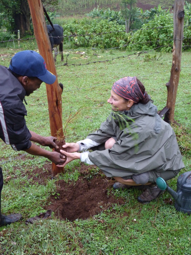 Einen Baum pflanzen & Umwelt schützen - Kenia - 
