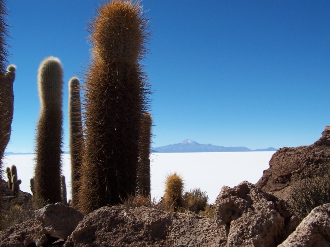 Salzsee von Uyuni - der größte der Welt - Bolivien - 
