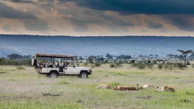 Unterwegs in der Masai Mara - Kenia - 