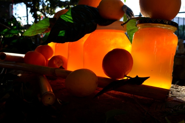 Hausgemachte Orangen-Marmelade - Türkei - 