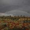 Sehr selten: Regenbogen auf der Canning Stock Route
