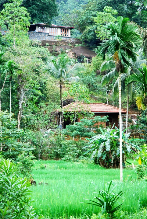 Regenwald-Lodge in Sri Lanka