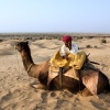 Kamelsafari in der Thar Wüste