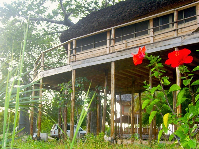 Baumhaus Außenansicht - Tansania - 
