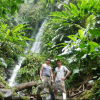 Regenwaldexkursionen und dabei viel über das Ökosystem erfahren
