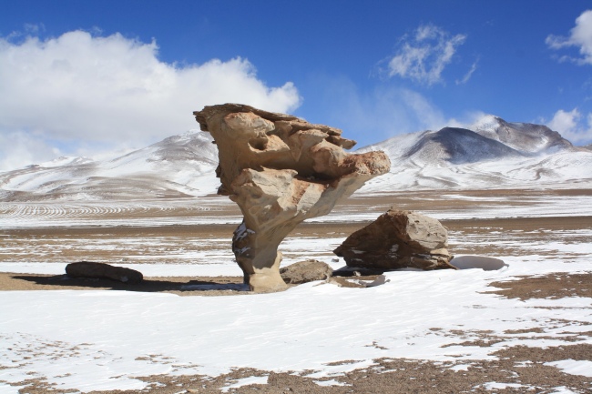 Arbol de Piedra (Baum aus Stein) - Bolivien - 