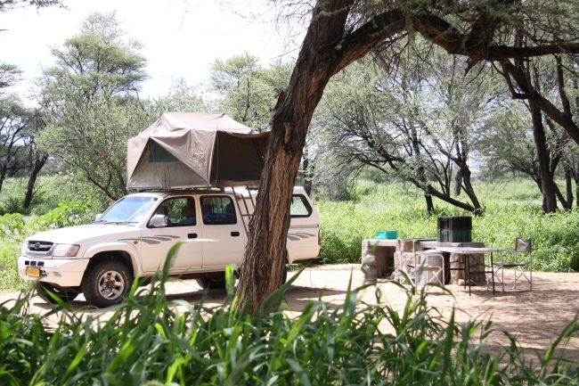 Die Campingplätze sind unter großen, schattenspendenden Bäumen gelegen - Namibia - 