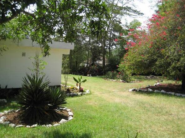 Unser schöner und gepflegter Garten - Kenia - 