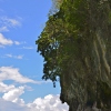 Wie wäre es mit einem Tagesausflug in die Bucht von Phang Nga?