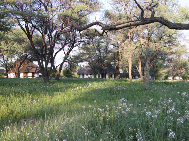 Unsere Bungalows liegen in einer grünen Gartenanlage - Namibia - 