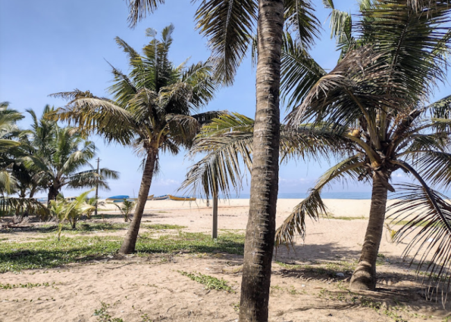 Der Strand ist naturbelassen und frei von Massentourismus - Indien - 