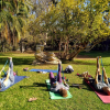 Yogaklasse im Park in Sevilla