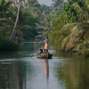 Die Backwaters sind ein must-see in Kerala und unvergesslich schön!