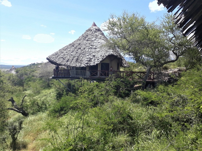Lion´s Bluff im Lumo Sanctuary - Kenia - 