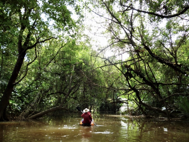 Abenteuer Natur-Mangroven - Thailand - 
