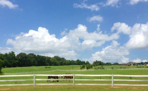 Ferienvilla auf einer Reiterfarm in Georgia