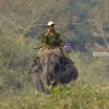 Elefanten Trekking