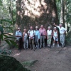ca. 1000 Jahre alter Baum in der Nähe der Eco Lodge Itororó
