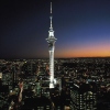 Sky City Tower in Auckland