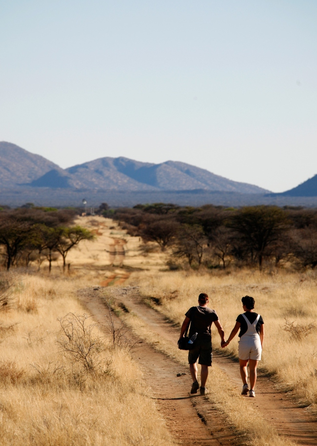 Bei Wildbeobachtungen zu Pferd, zu Fuß, mit dem Rad, auf einem Hochsitz an einer Wasserstelle oder auf einer Tour mit dem Jeep bringen Ihnen unsere Guides das afrikanische Wildlife näher. - Namibia - 