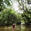 Abenteuer Natur-Mangroven