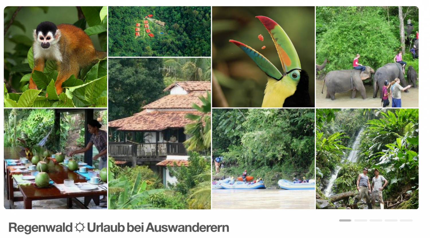 Unser ultimativer Reisetipp für 2018 - Abenteuer Regenwald 