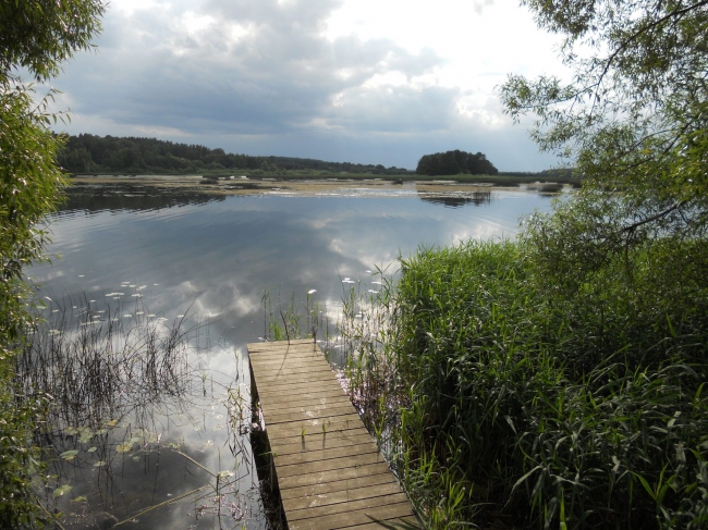 Am Schwanensee im Naturpark Tervete - Lettland - 