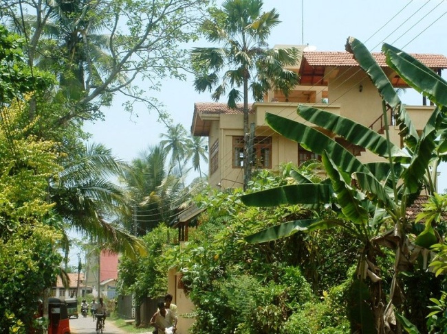 Willkommen in unserem Palmengarten - Sri Lanka - 