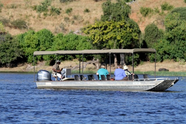 Wir gehen auch per Boot auf Safari auf dem Chobe Fluß - Botswana - 