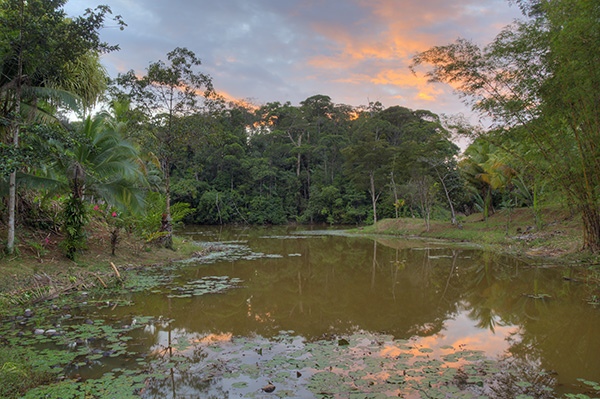 Blick auf die Lagune 2 - Costa Rica - 