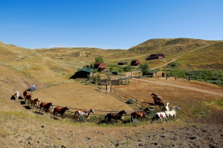 Ranchurlaub mit Cowboyfeeling auf einer idyllischen Farm am Fluss
