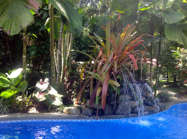 Kleiner Wasserfall an unserem Pool - Costa Rica - 