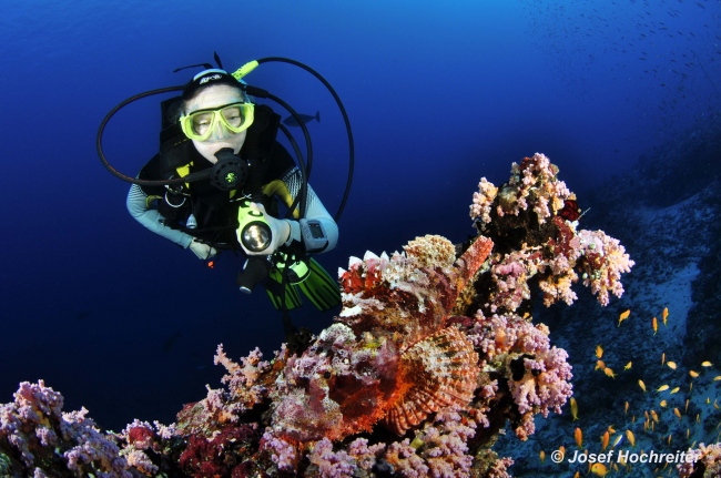 Die Unterwasserwelt wird Sie begeistern! - Malediven - 