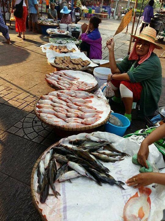 Auf dem Fischmarkt - Thailand - 