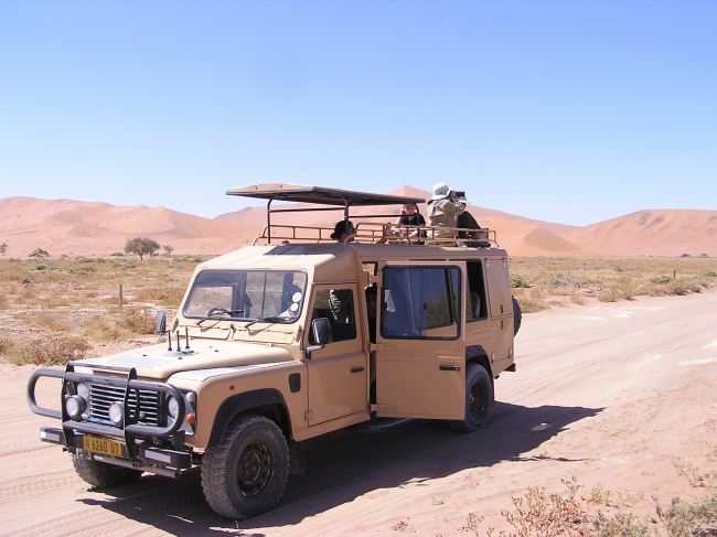 Auf Safari - Namibia - 