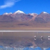Bolivien Urlaub an herrlichen Lagunen mit Flamingos genießen