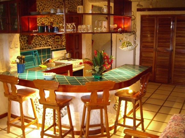 Küche Apartments 2  - Costa Rica - 