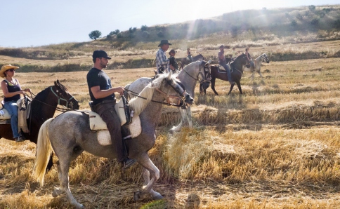 Exklusive Pferde-Ranch in Andalusien