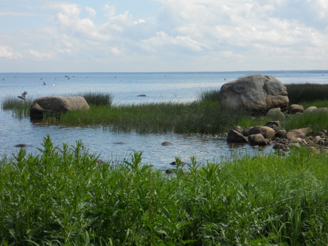  An der Ostseeküste in Engure - Lettland - 