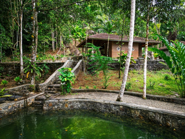 Die Bungalows stehen einzeln umgeben vom Regenwald - Sri Lanka - 