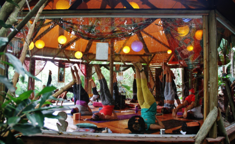 Backpackerlodge mit Yoga im Dschungel nahe Durban