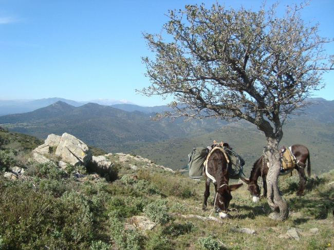 Schöne Auszeit für Mensch und Tier und wunderschöner Landschaft - Spanien - 