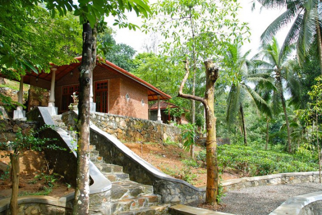 Die Bungalows stehen einzeln umgeben vom Regenwald - Sri Lanka - 