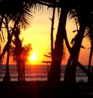 Wundervolle Sonnenuntergänge gibt es bei uns täglich - Sri Lanka - 