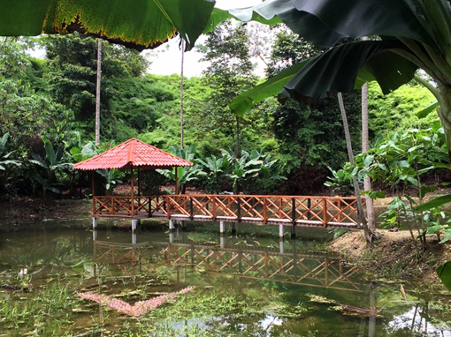 Der Pavillon am See - Costa Rica - 